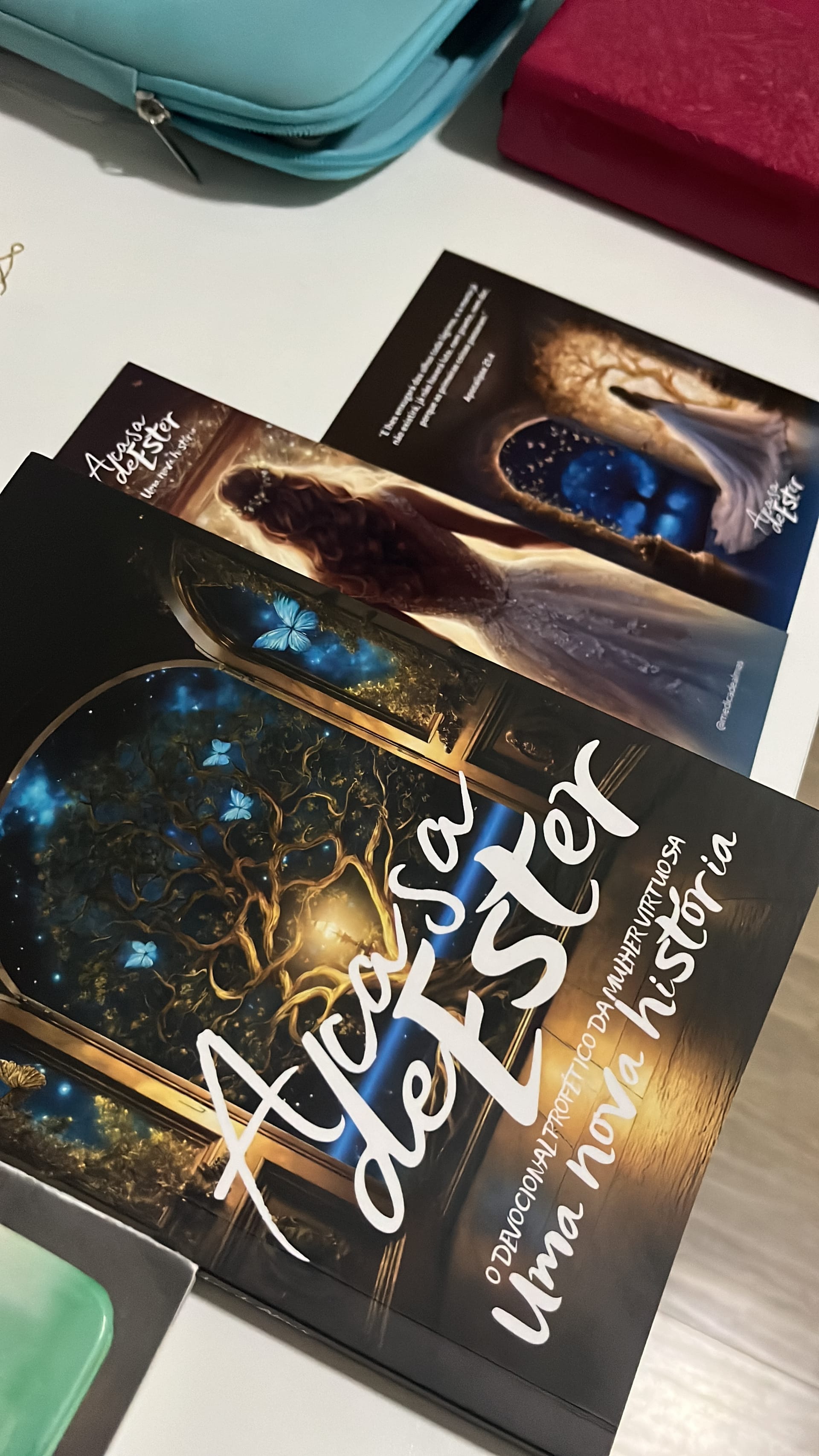 Livro A Casa de Ester: Uma nova história - Ângulo 2