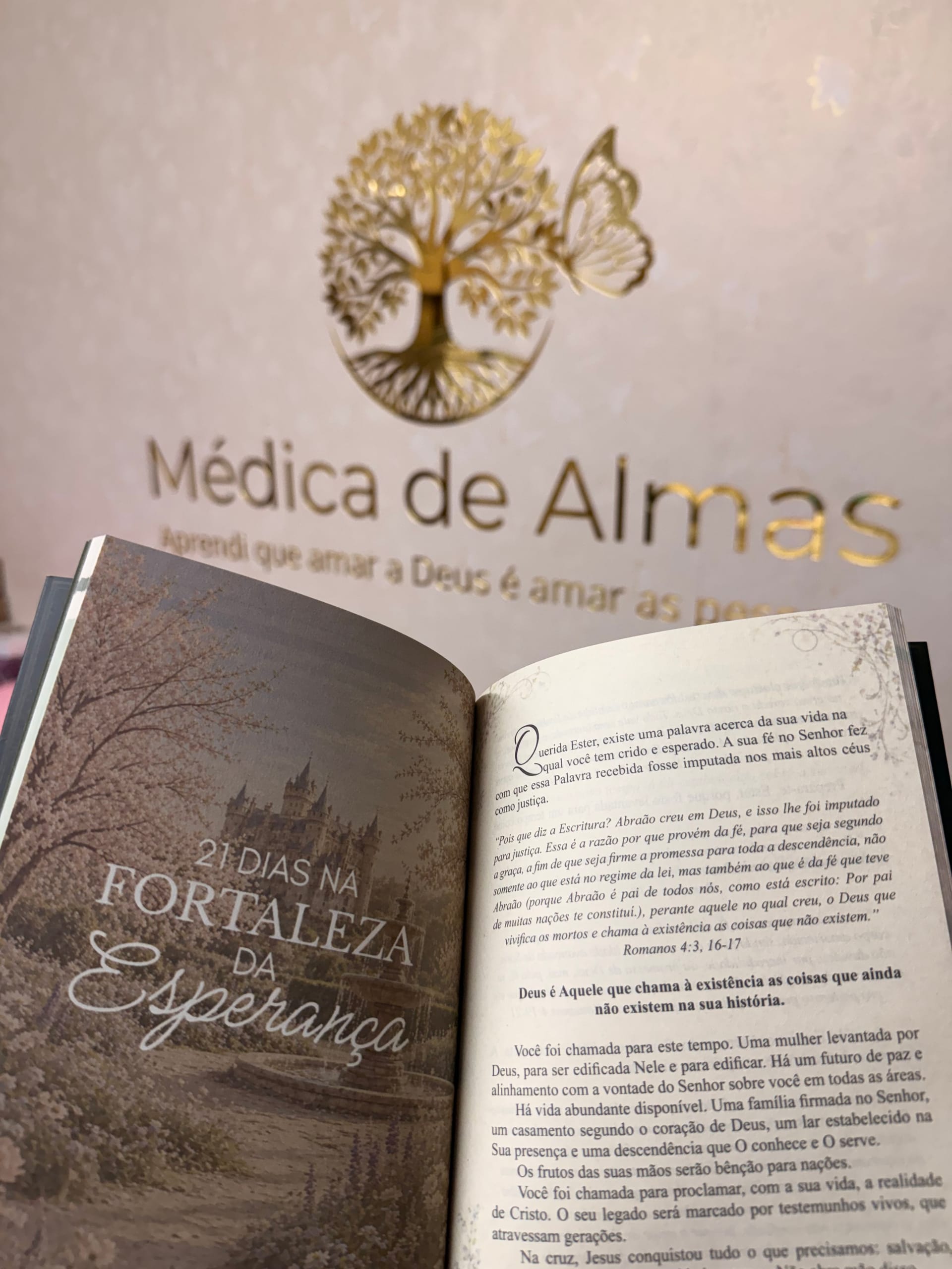 Livro A Casa de Ester: A Fortaleza da Esperança vol I - Ângulo 2