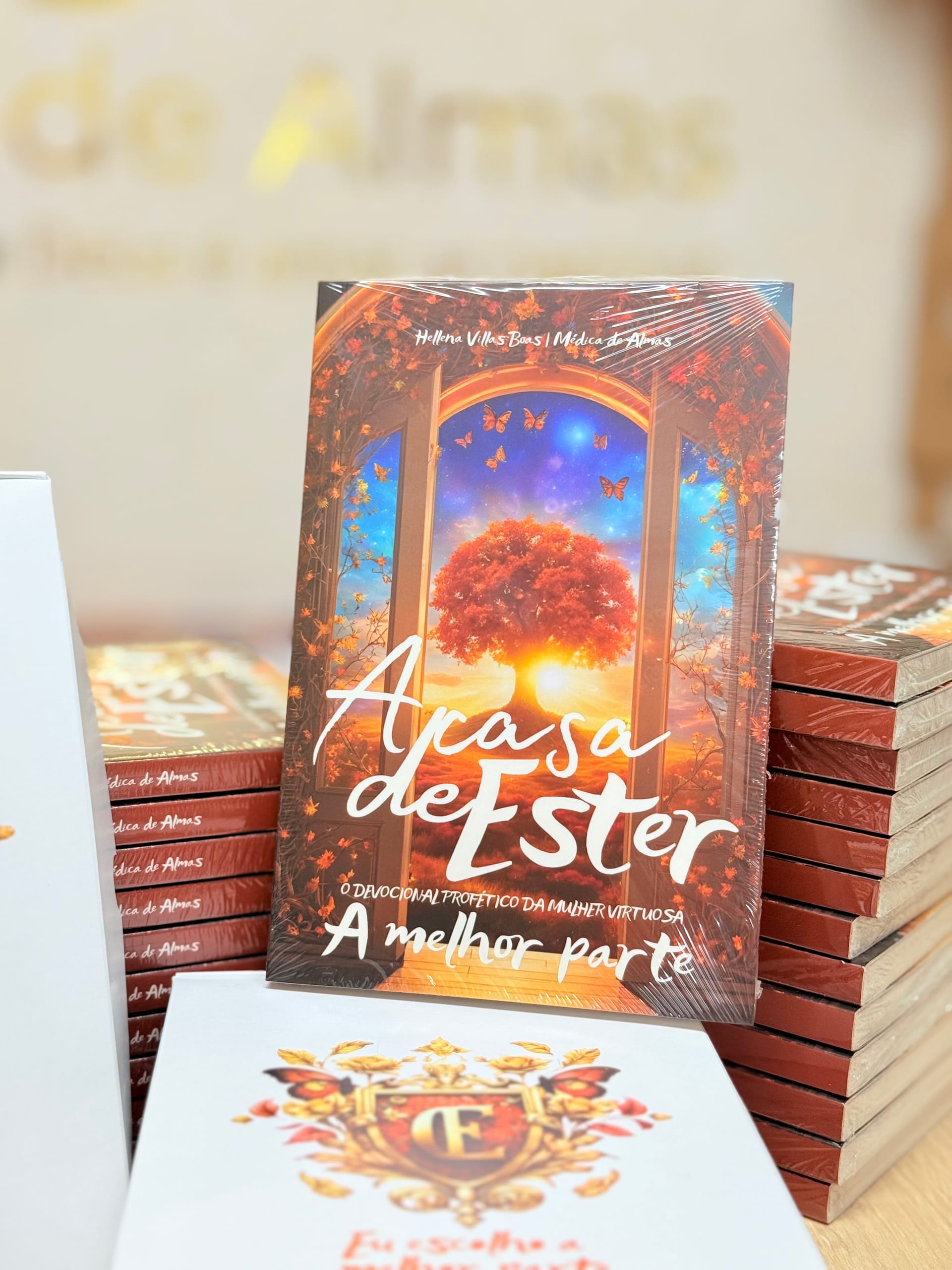 Livro A Casa de Ester: A melhor parte - Ângulo 2